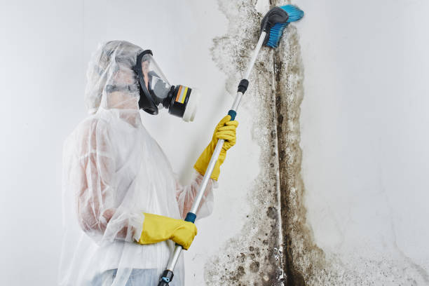 Best Mold Testing  in Auberry, CA