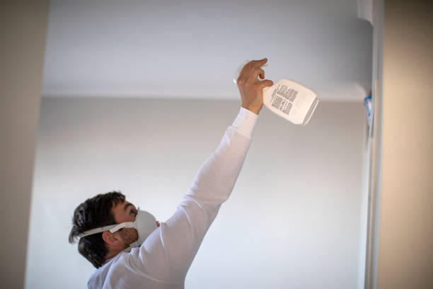 Best Mold Remediation  in Auberry, CA