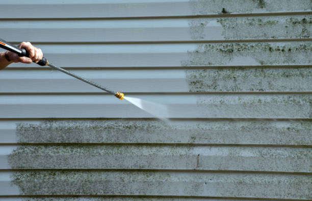 Best Mold Cleaning Services  in Auberry, CA
