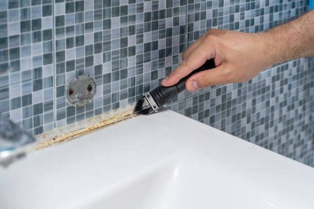 Auberry, CA Mold Removal Company