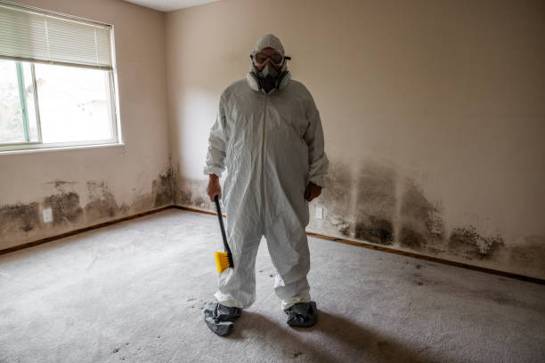 Best Fast Mold Removal  in Auberry, CA