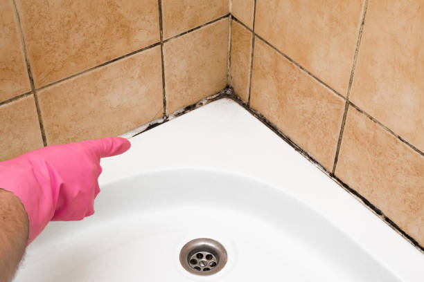 Best Certified Mold Removal  in Auberry, CA